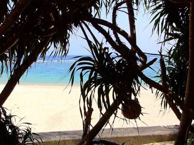 【タイさんの旅】加計呂麻島の徳浜でシュノーケリング。加計呂麻島16日目
