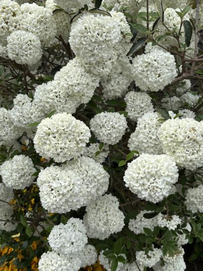 兵庫さんぽ　　宝塚を歩きます♪宝塚の名前の由来　宝の塚～宝塚聖天～特別攻撃隊の碑