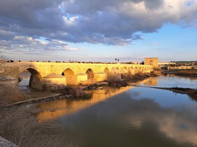 2025.2 アーモンドの花と鈴なりのオレンジに癒される 2月のアンダルシア 11.コルドバと3万本のオレンジ