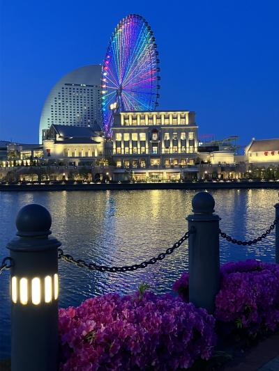 2025年　国内プチ旅行 5. 新幹線で、みなとみらいへ。ツツジと新緑の景色を愛でる