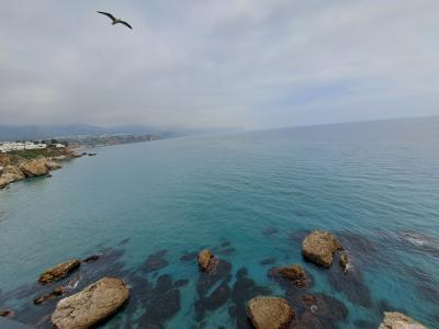 2025.2 アーモンドの花と鈴なりのオレンジに癒される 2月のアンダルシア 10.ヨーロッパのバルコニー ネルハ