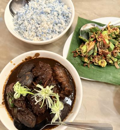 クアラルンプール空港から初日の晩ごはんニョニャ料理まで【アラカン3人組のマレーシアその1】