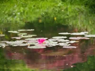 高知県の文化・自然・日本酒を楽しみ倒す旅(2/3)