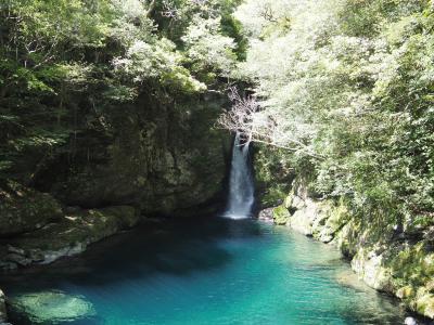 高知県の文化・自然・日本酒を楽しみ倒す旅(3/3)