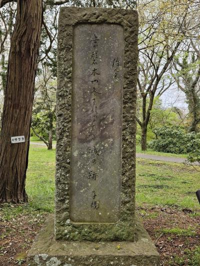 【100名城】39城目　博物館チケットが当たったから佐倉城へ行ってみた