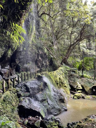 春の八丈島① バスで温泉巡り　一人旅