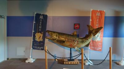 千年鮭きっかわ井筒屋で鮭料理を満喫（2025年5月）