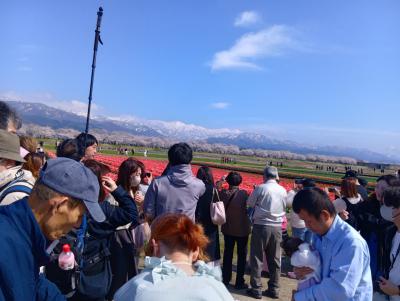 ②2025年4月　富山「春の四重奏きっぷ」糸魚川ヒスイ　高山祭　姫路城　大阪万博で世界旅行気分