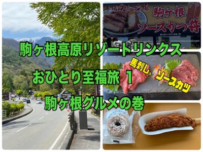 駒ヶ根高原リゾートリンクスおひとり至福旅 １ 馬刺し、ソースカツ駒ヶ根グルメの巻