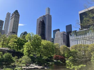 ニューヨーク:晴れの日のセントラルパーク散歩