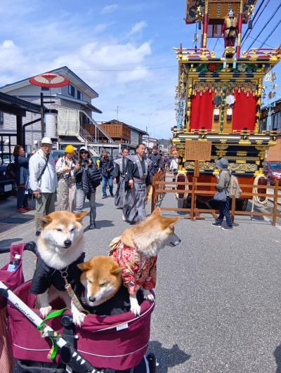 ③2025年4月　高山祭は外人が沢山　姫路城　大阪万博で世界旅行気分　富山「春の四重奏きっぷ」糸魚川