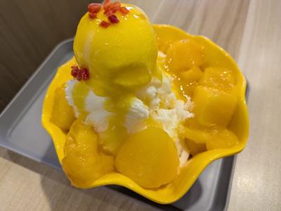 2025年GWおひとりさまスロバキアとポーランド(寄り道台北編)