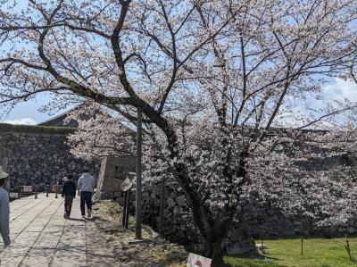 有馬温泉と桜前線