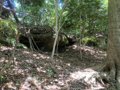 明月院から鎌倉アルプスを超えて瑞泉寺までハイキング