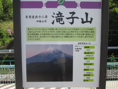 5月の滝子山