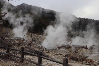 2025春　九州旅行⑤　雲仙～島原