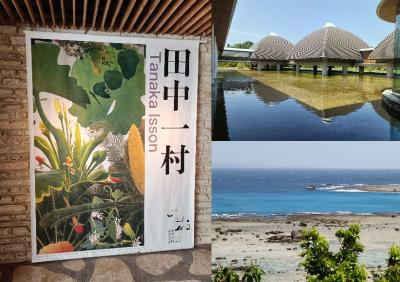 世界遺産の奄美ブルーを見たく初めて奄美大島へ！ 前編　あやまる岬、奄美パーク、屋仁川通り