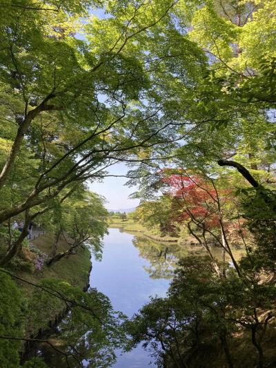 1日で離宮と御所を巡ってみよう(修学院離宮と京都御所)