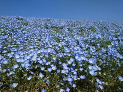 GW二発目、BBA二人がお花畑で大はしゃぎ