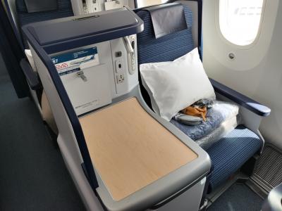 ANAビジネス-フランクフルト