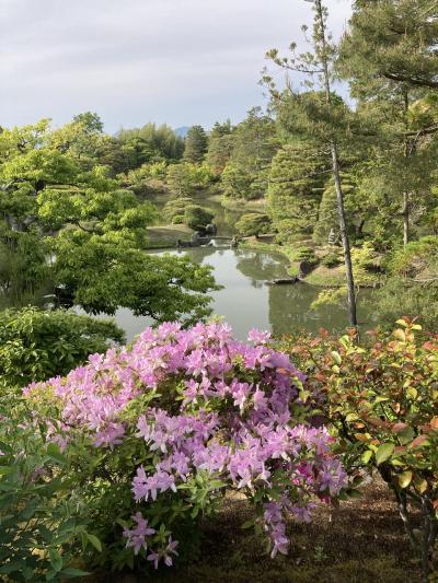 1日で離宮と御所を巡ってみよう(仙洞御所と桂離宮)