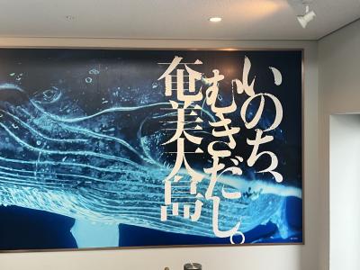 いも～れ2度目の奄美大島へ①