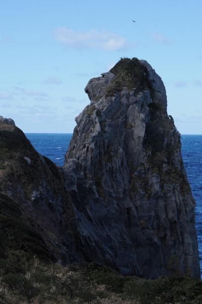 離島の旅・島旅行　冬の旅　【長崎・壱岐島】パワースポット巡りの御利益？！　パート２