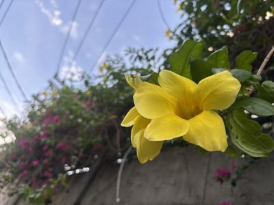 GWバンコク　８年ぶり２回目旅　②