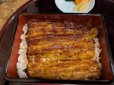 小川菊にうなぎを食べる目的だけで川越へ行く旅
