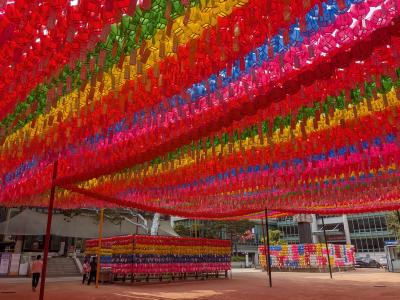 209回目訪韓(2025/5/21水~24土)①/⑤出国~昼食~曹渓寺