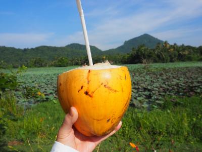 2025ＧＷスリランカ＆モルディブ①【旅の始まりはココナッツジュースで乾杯♪】