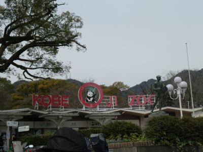 ツァー催行中止で神戸散策3　神戸王子動物園編