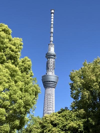 亀戸再訪