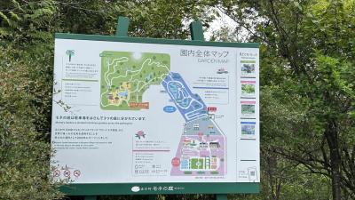 モネの庭園（マンモッタン認定）で熊とヘビに出会った・・・怖かった。。。