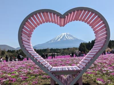 芝桜・ネモフィラ・藤の花を巡る旅