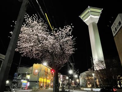 弘前から大間経由フェリーで函館五稜郭