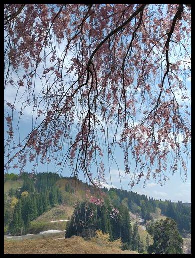 エメラルドグリーンの硫黄泉、咲花温泉へ。