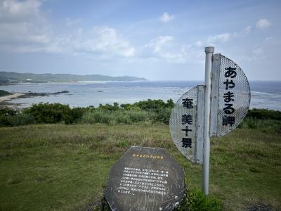 いも～れ奄美大島④