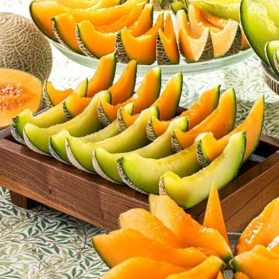 【20250510】神戸薔薇(ローズフェスタ)から、大垣祭りへ