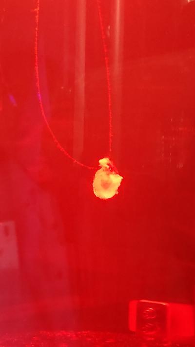 関西万博 後編～万博とは『国民の体力測定』だ。～