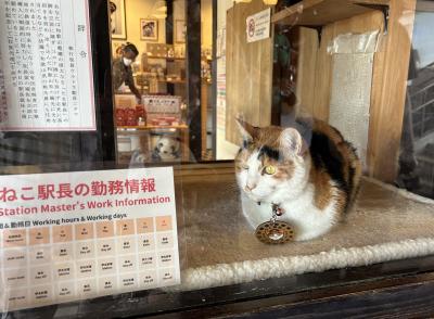 和歌山周遊5日間　最終日　和歌山城と和歌山電鐵貴志川線”たま駅長”