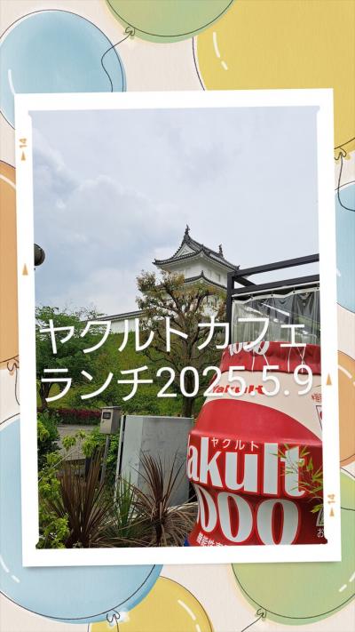 ヤクルト御本丸カフェ&ギャラリーランチ　2025年5月9日