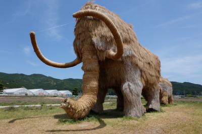富士山のつつじ・蓮華とマンモス・日本一長い廊下の雑巾がけ小学校☆2025.5GWのドライブ一泊旅①