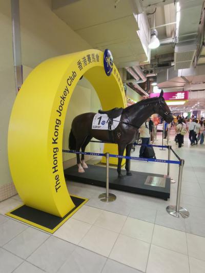香港チャンピオンズデー（競馬場散策）