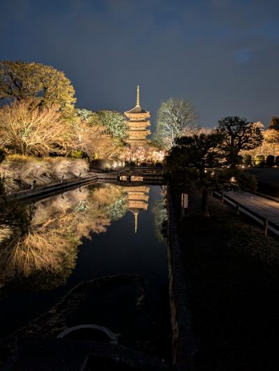 梅咲く京都へ~大人の修学旅行