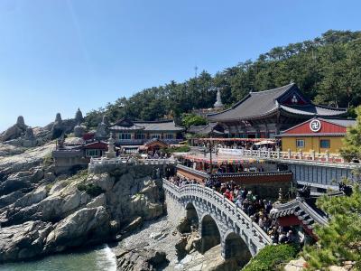 13年ぶりの釜山　アラフィフ夫婦２人旅①