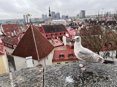 2025GW⭐︎初ヨーロッパはフィンランド2人旅②