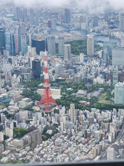 ANA Sale ついついポチっとな