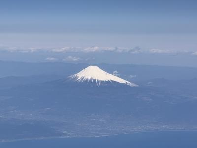 2025.4タイ航空ビジネスクラスで行くバリ島現地集合解散?レギャン、ウブド、タンジュンベノアその4帰国!