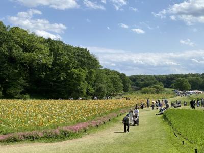 2025年5月　武蔵丘陵森林公園